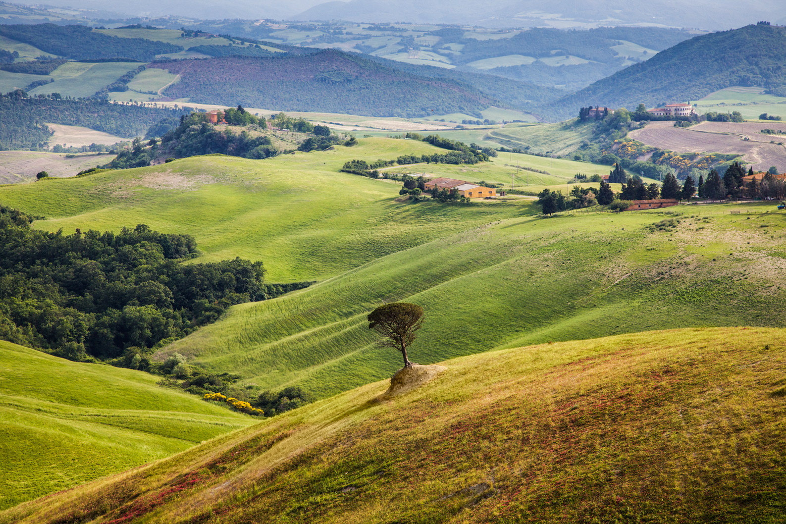 Tuscany, Italy -  Landscape