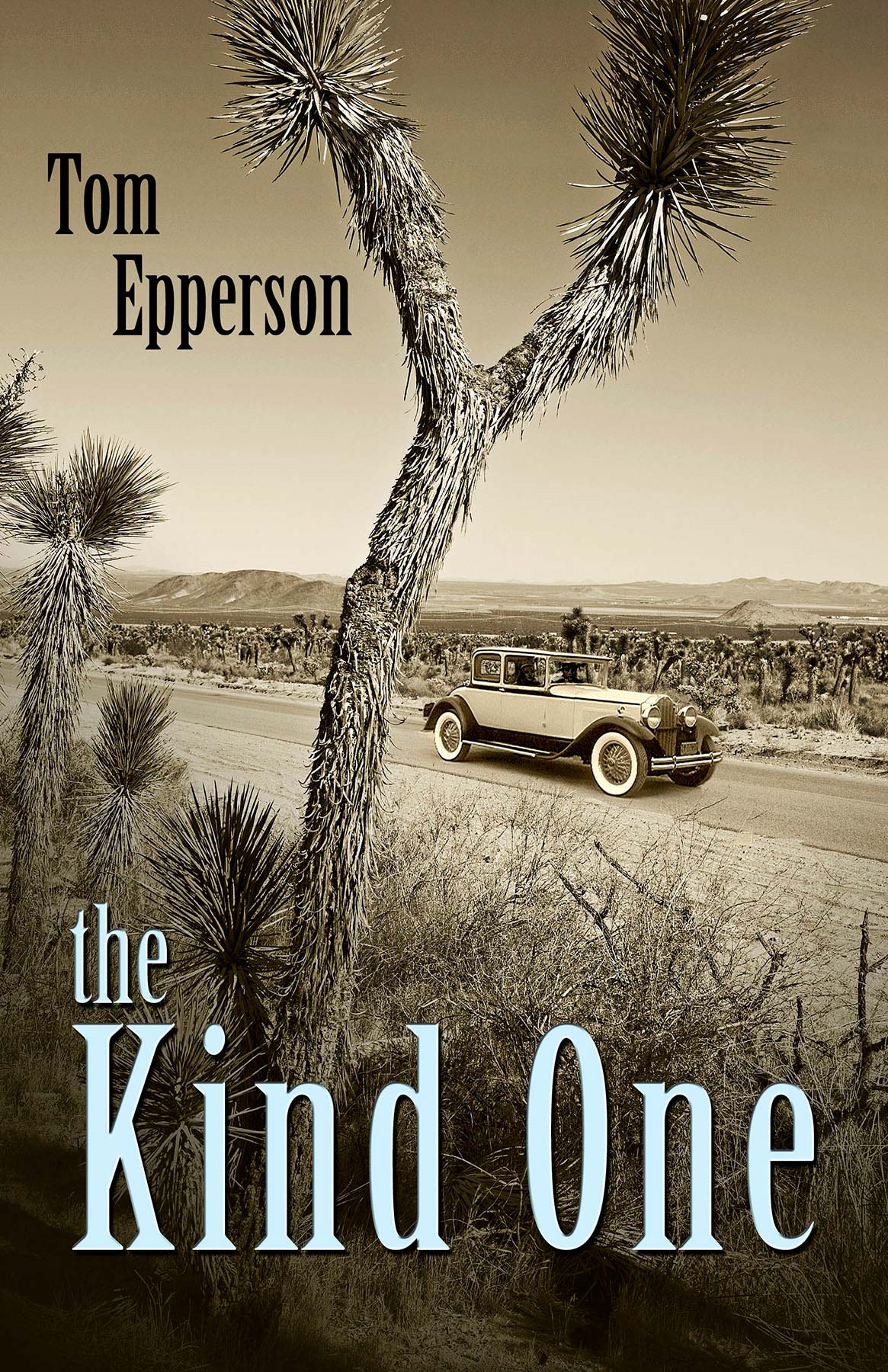 Book Cover Desert Landscape
