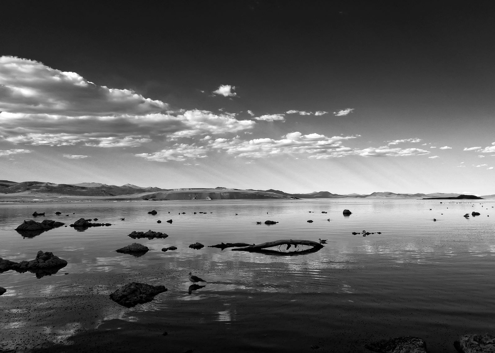 Mono Lake, CA - Black & White